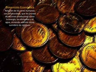 Dimensión Económica 
Relación de los seres humanos 
con la naturaleza, que les provee 
de recursos productivos como 
la energía, los alimentos y el agua, sirviendo además como 
sumidero de residuos.  