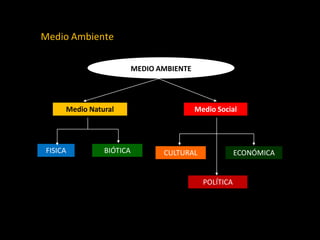 Medio Ambiente 
Medio Natural 
Medio Social 
MEDIO AMBIENTE 
FISICA 
BIÓTICA 
CULTURAL 
ECONÓMICA 
POLÍTICA  