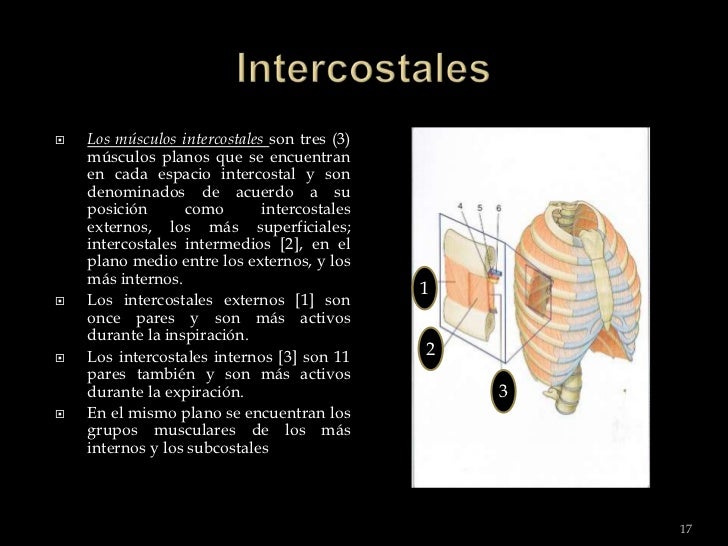 Quel médecin est nécessaire si fait mal le cou