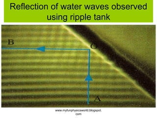Reflection of water waves observed
          using ripple tank




           www.myfunphysicsworld.blogspot.
                       com
 