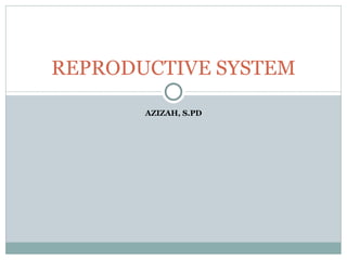 AZIZAH, S.PD REPRODUCTIVE SYSTEM 