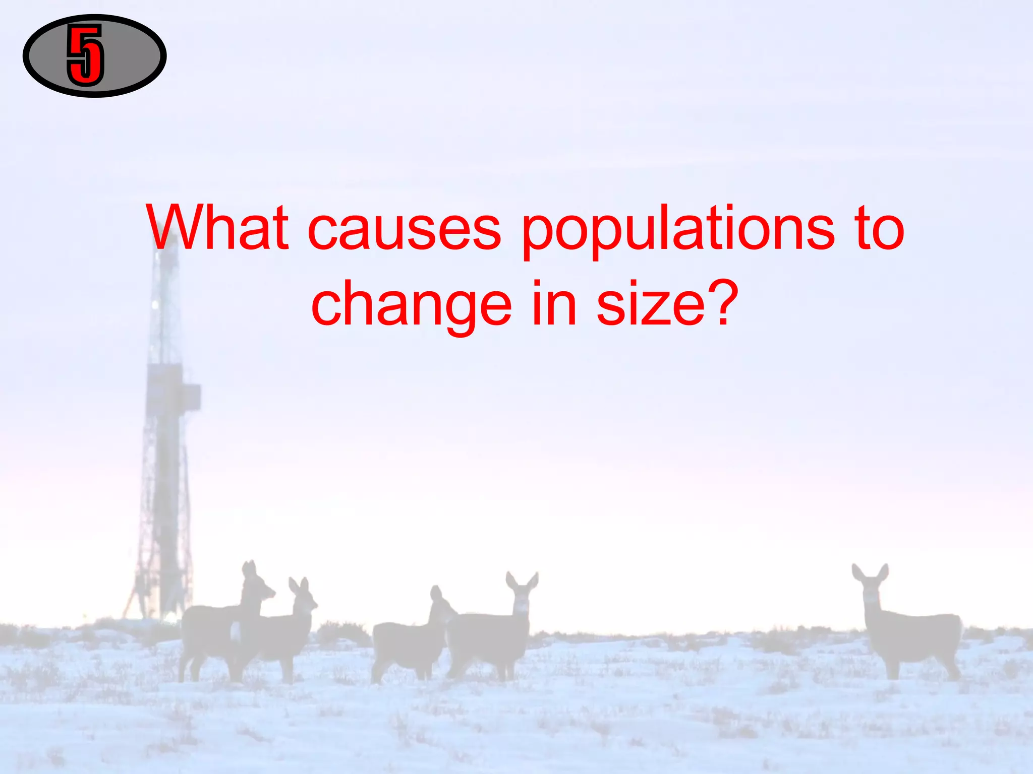 What causes populations to change in size? 5 