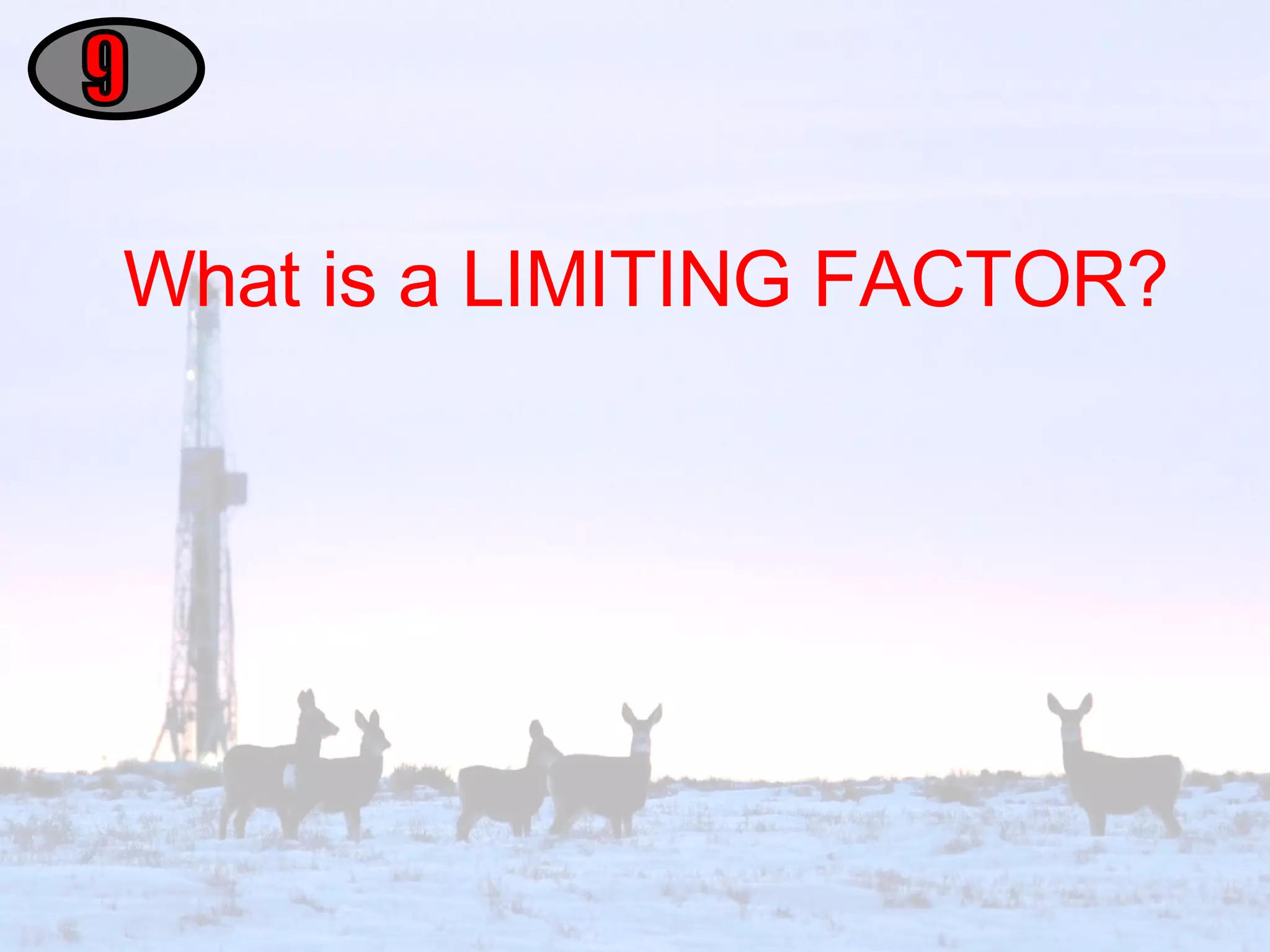 What is a LIMITING FACTOR? 9 