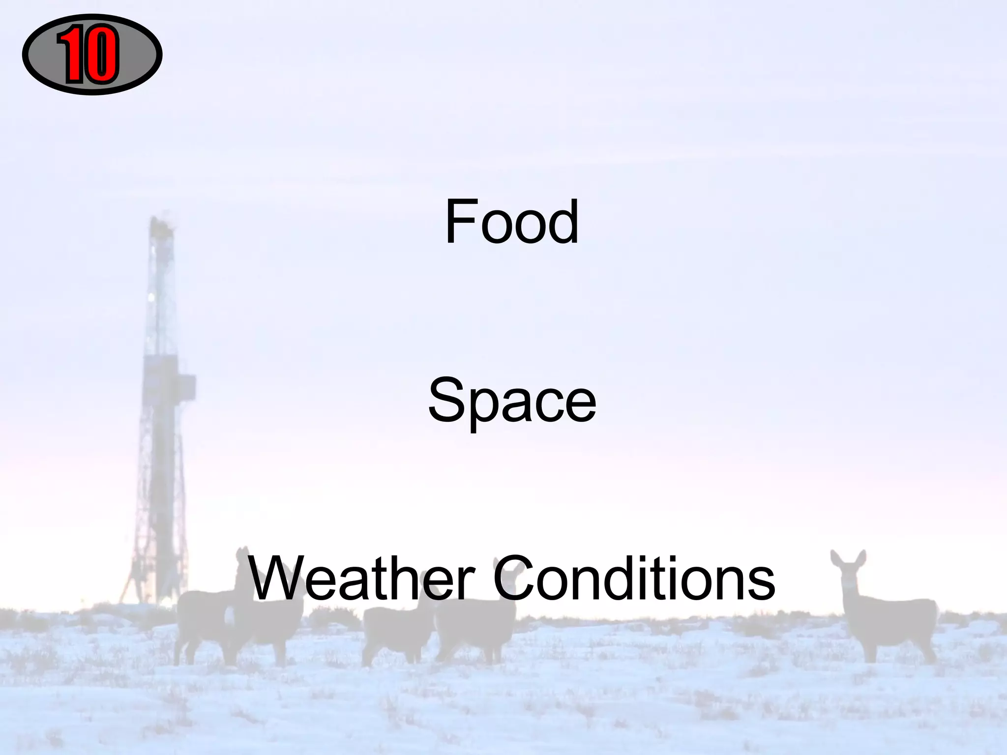 Food Space Weather Conditions 10 