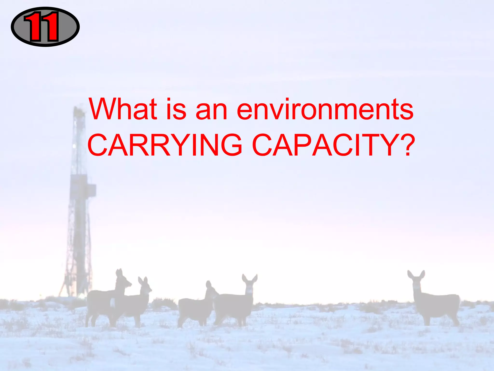 What is an environments CARRYING CAPACITY? 11 