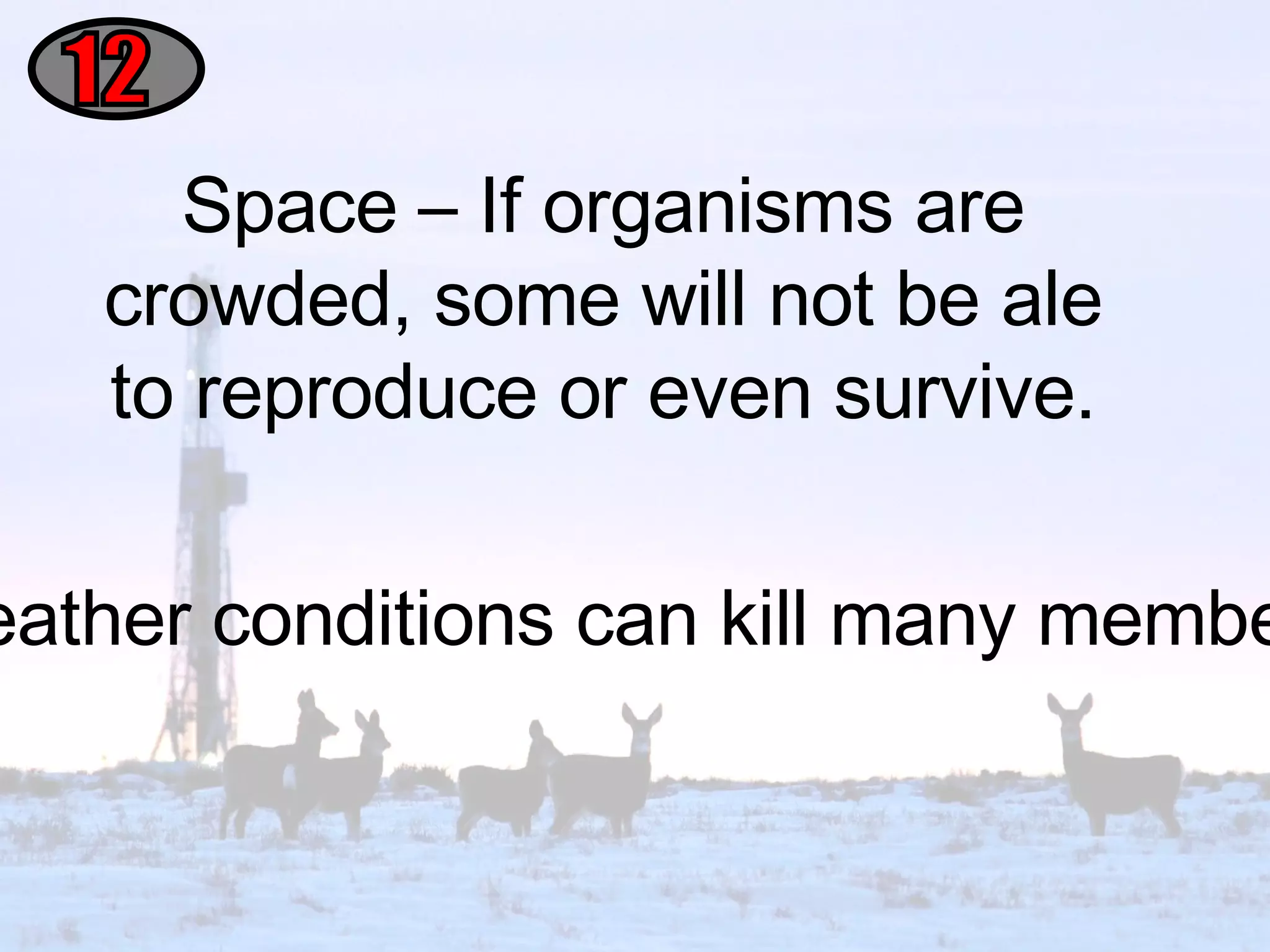 Space – If organisms are crowded, some will not be ale to reproduce or even survive. 12 Weather – Severe weather conditions can kill many members of the population. 