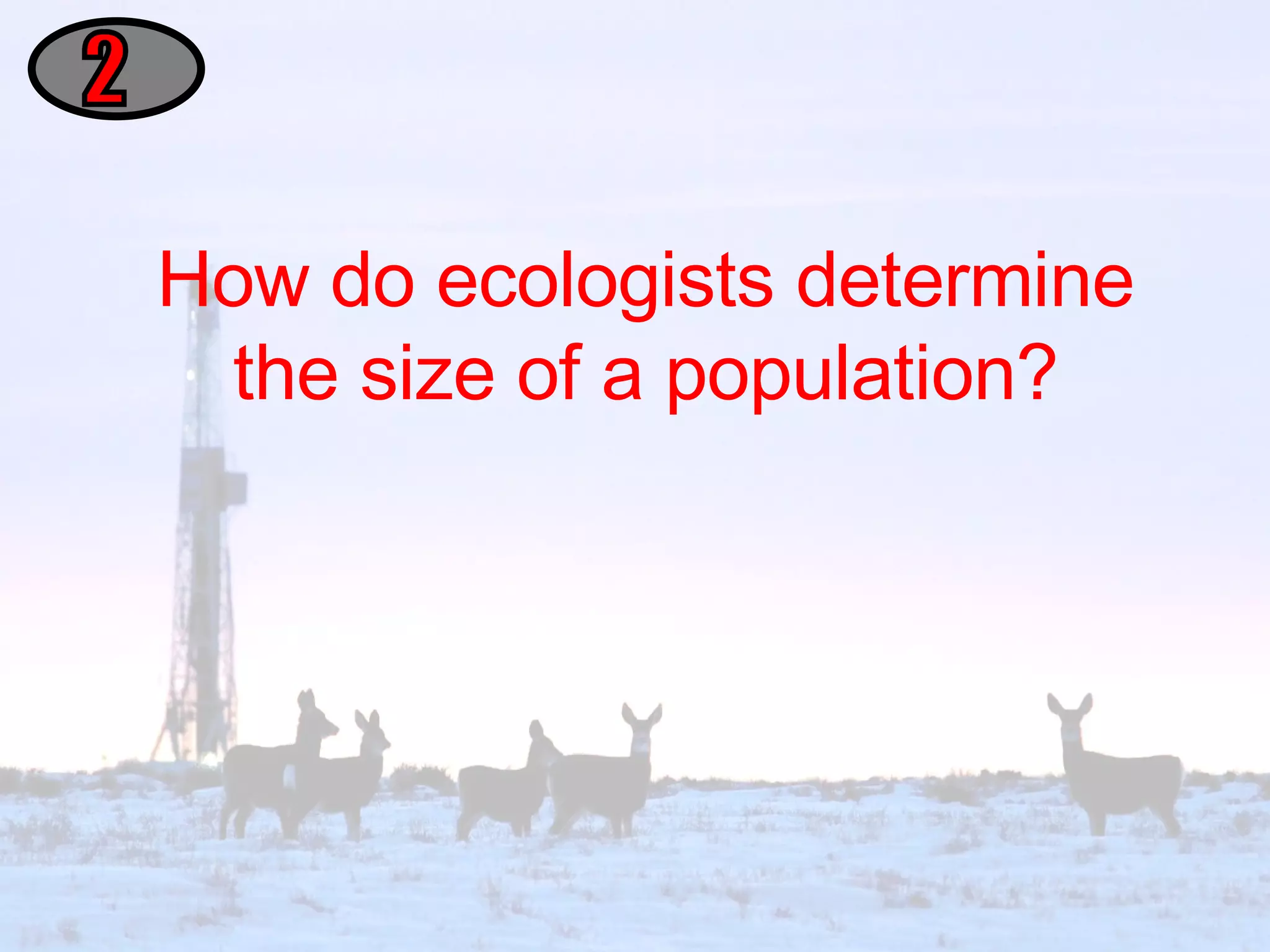 How do ecologists determine the size of a population? 2 