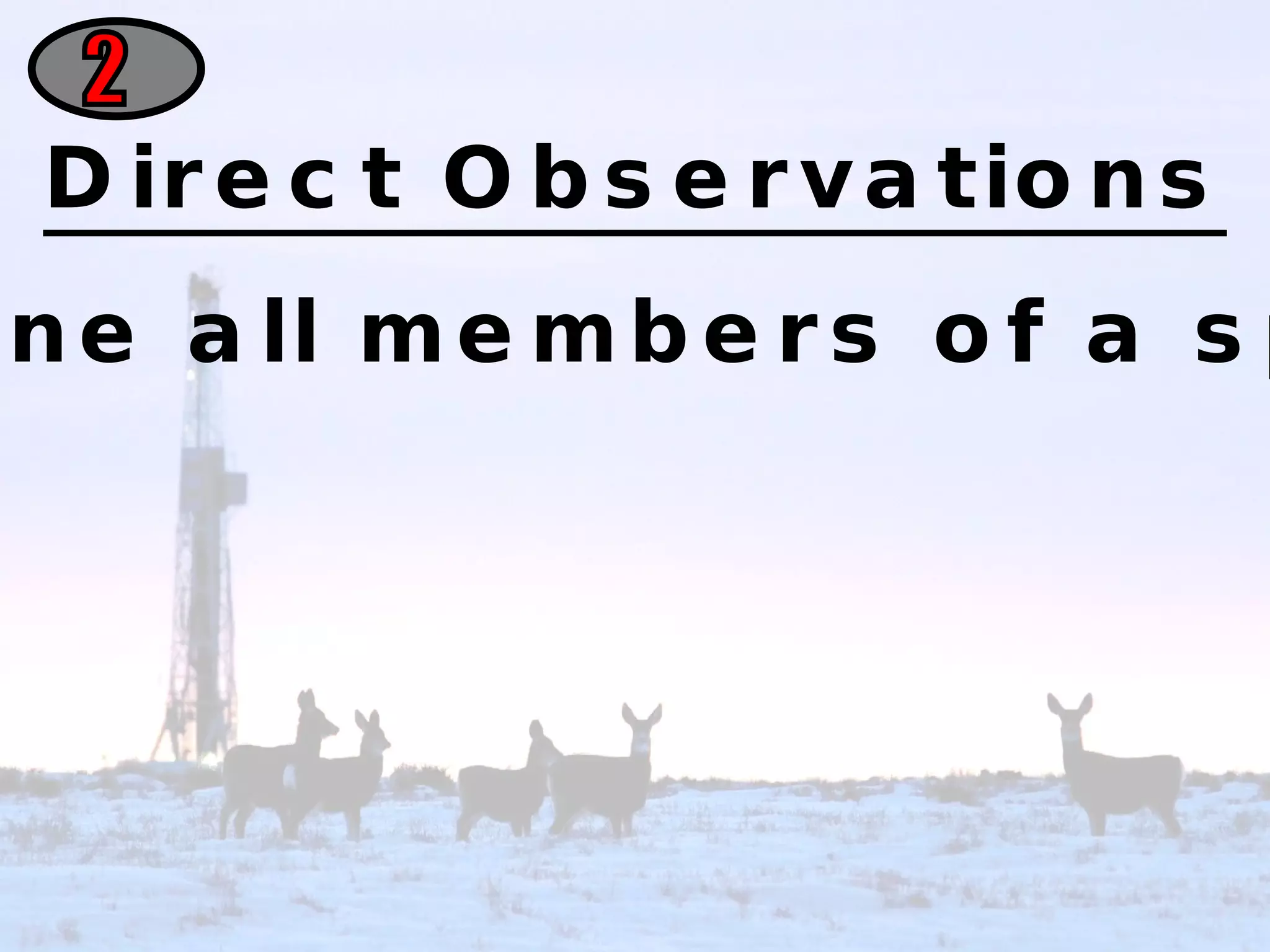 2 Direct Observations Counting one by one all members of a species in an area. 