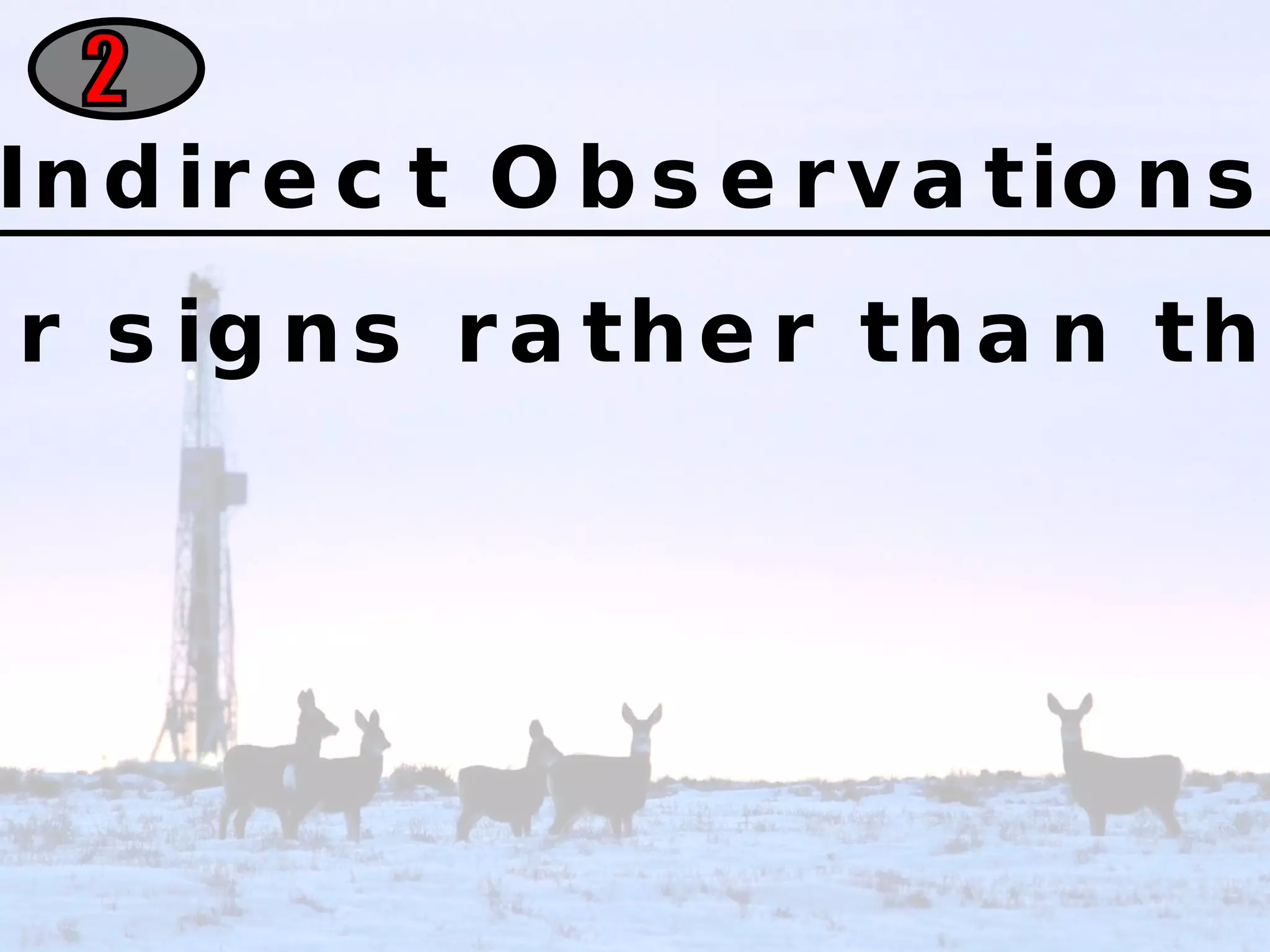 2 Indirect Observations Observing tracks or other signs rather than the organisms themselves. 