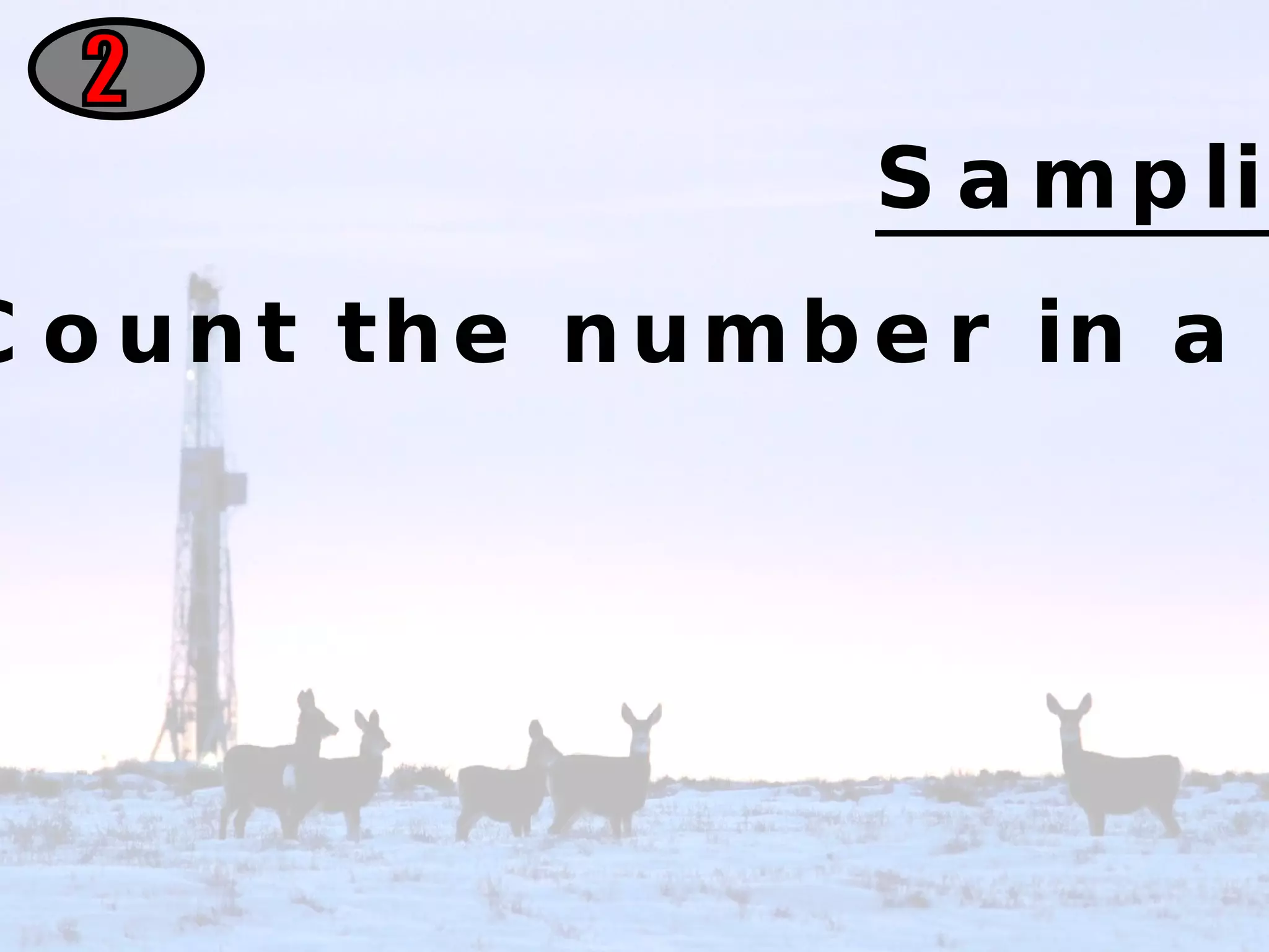 2 Sampling Ecologists make an estimate. Count the number in a small area then multiply to find for a larger area 