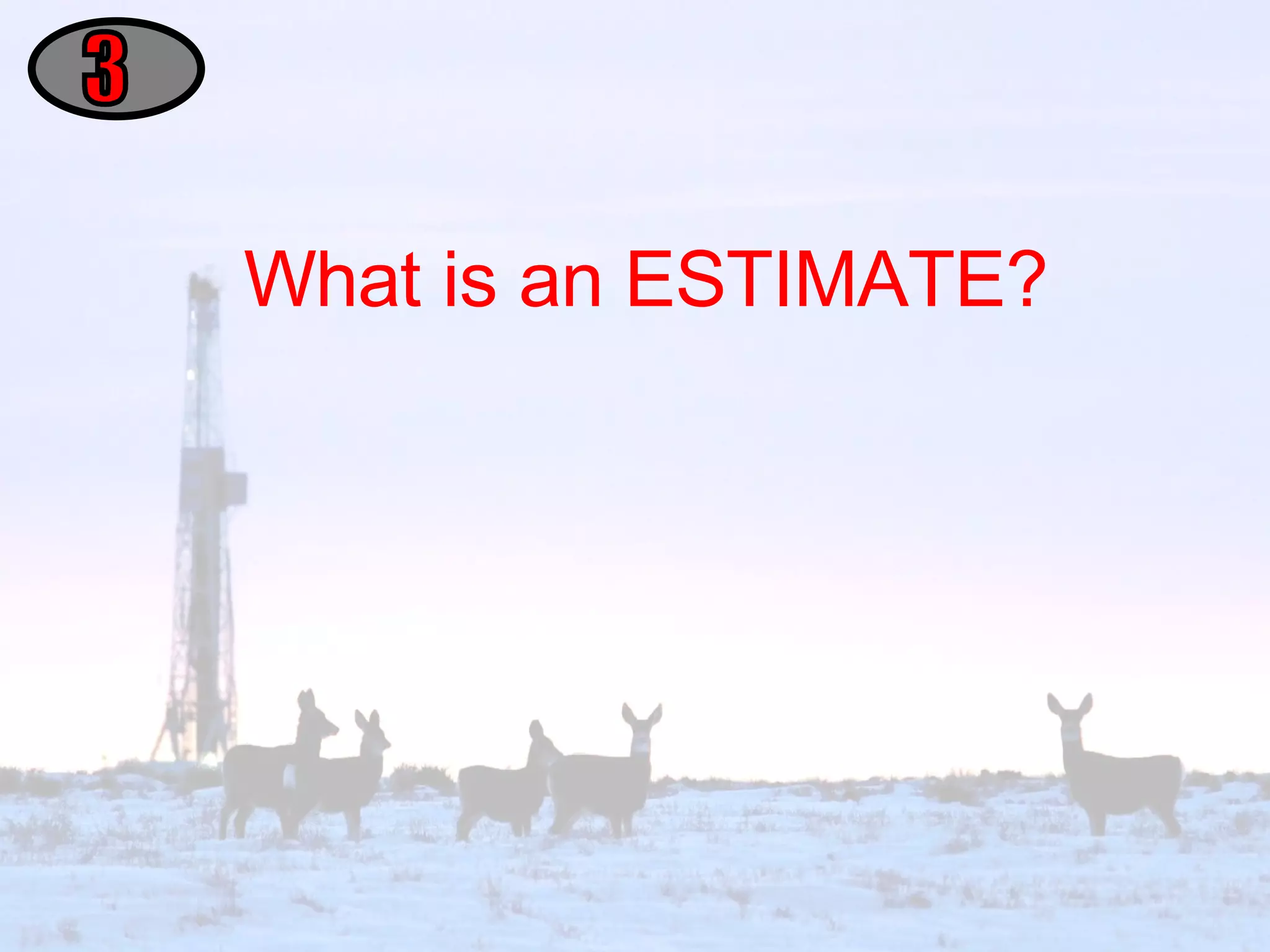 What is an ESTIMATE? 3 