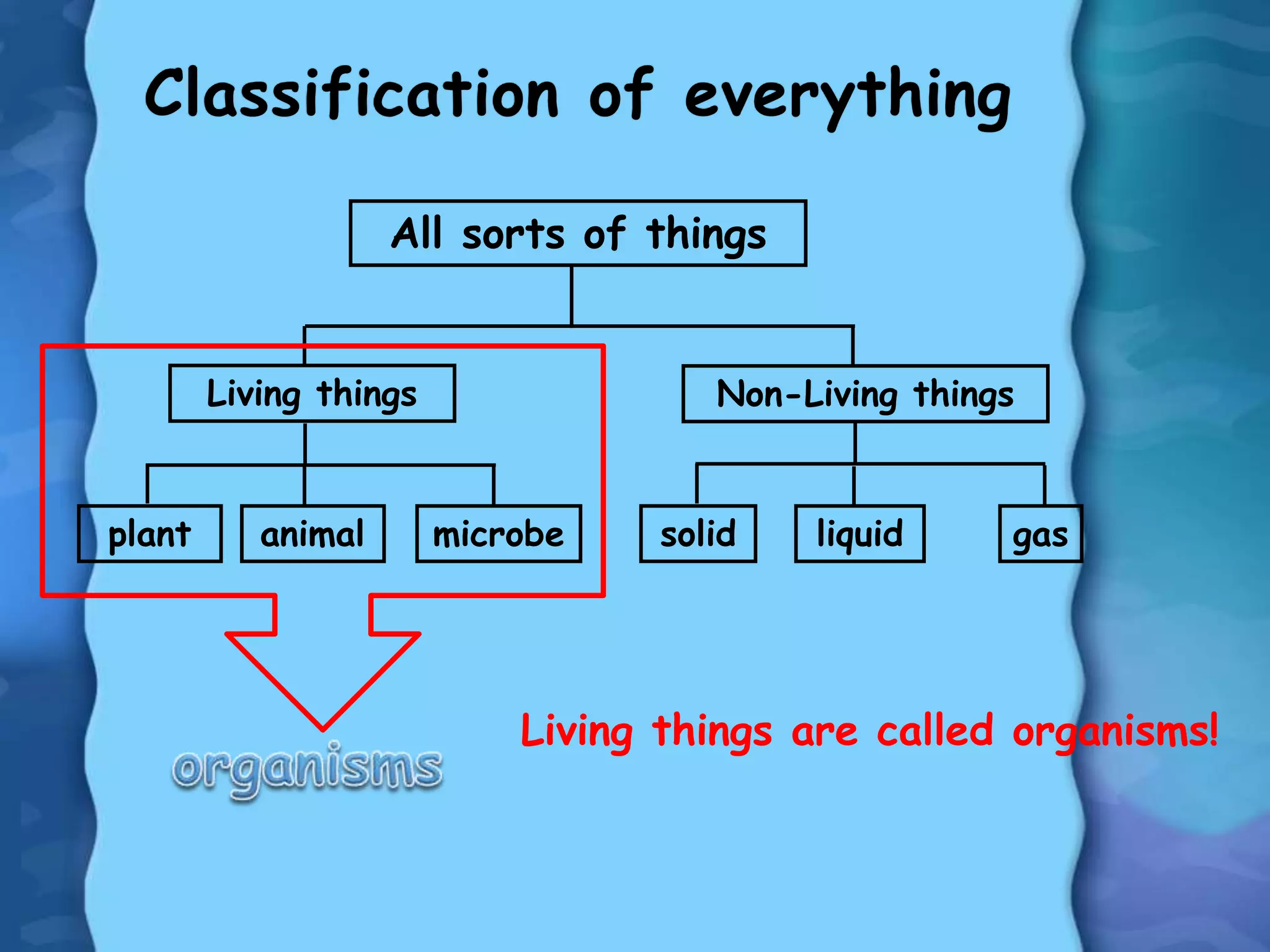 All sorts of things
Living things Non-Living things
plant animal microbe solid liquid gas
Living things are called organisms!
 