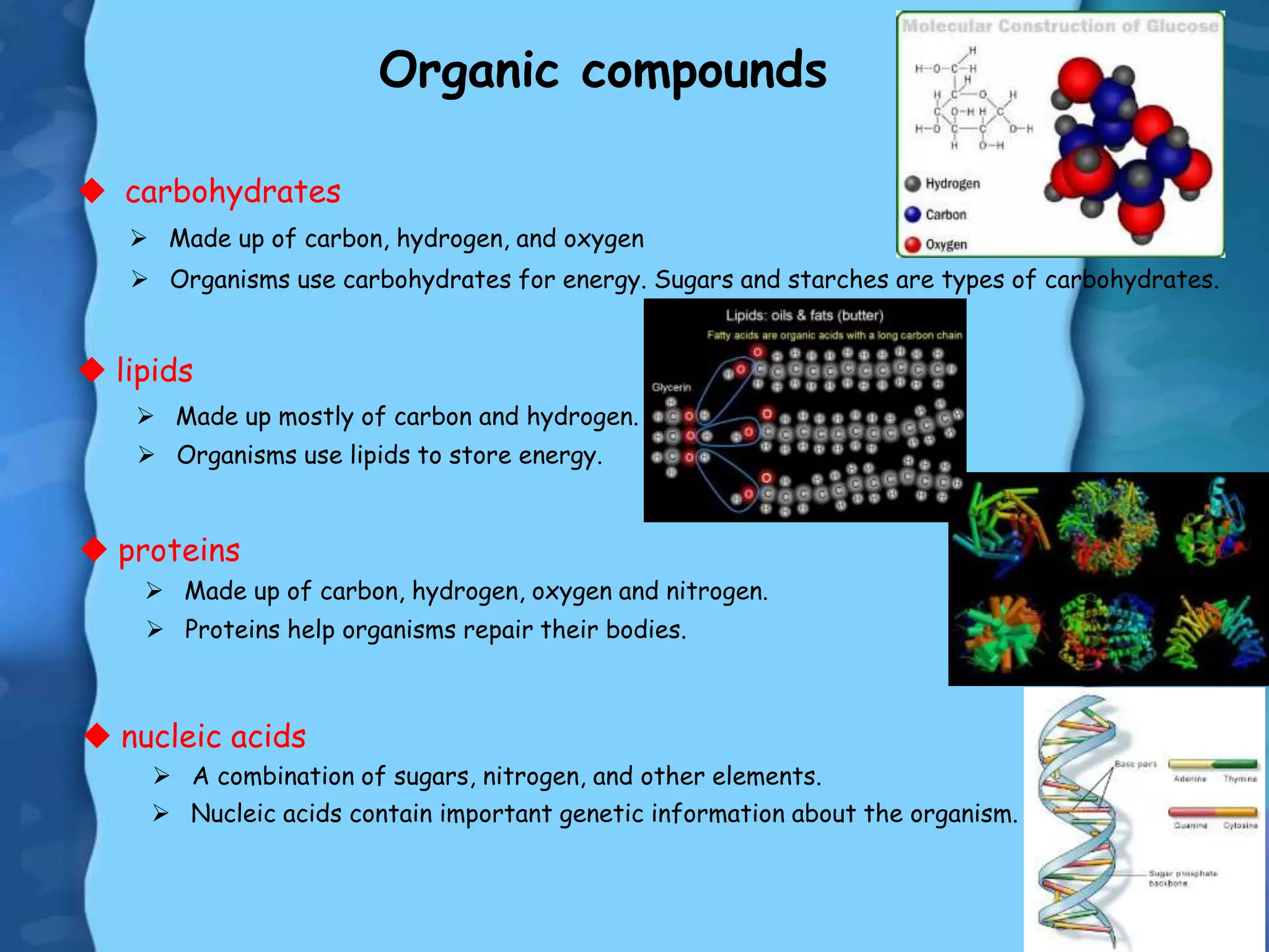 Organic compounds
 carbohydrates
 lipids
 proteins
 nucleic acids
 Made up of carbon, hydrogen, and oxygen
 Organisms use carbohydrates for energy. Sugars and starches are types of carbohydrates.
 Made up mostly of carbon and hydrogen.
 Organisms use lipids to store energy.
 Made up of carbon, hydrogen, oxygen and nitrogen.
 Proteins help organisms repair their bodies.
 A combination of sugars, nitrogen, and other elements.
 Nucleic acids contain important genetic information about the organism.
 