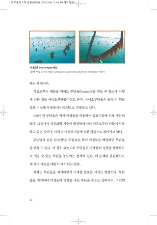하는 과제이다.
식물로부터 에탄올 외에도 부탄올(butanol)*을 만들 수 있는데 이렇
게 만든 것을 바이오부탄올이라고 한다. 바이오부탄올은 물성*이 휘발
유와 비슷해 차세대 바이오연료로 각광받고 있다.
100년 전 ...