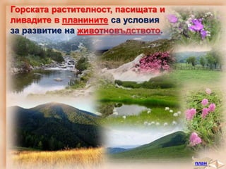 план
Горската растителност, пасищата и
ливадите в планините са условия
за развитие на животновъдството.
 