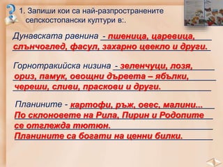 1. Запиши кои са най-разпространените
селскостопански култури в:.
Дунавската равнина _______________________
_________________________________________
- пшеница, царевица,
слънчоглед, фасул, захарно цвекло и други.
Горнотракийска низина _____________________
__________________________________________
_________________________________________
- зеленчуци, лозя,
ориз, памук, овощни дървета – ябълки,
череши, сливи, праскови и други.
Планините - ______________________________
_________________________________________
_________________________________________
_________________________________________
картофи, ръж, овес, малини...
По склоновете на Рила, Пирин и Родопите
се отглежда тютюн.
Планините са богати на ценни билки.
 