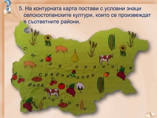5. На контурната карта постави с условни знаци
селскостопанските култури, които се произвеждат
в съответните райони.
Дунавска равнина
Рила
 