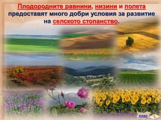 Плодородните равнини, низини и полета
предоставят много добри условия за развитие
на селското стопанство.
план
 