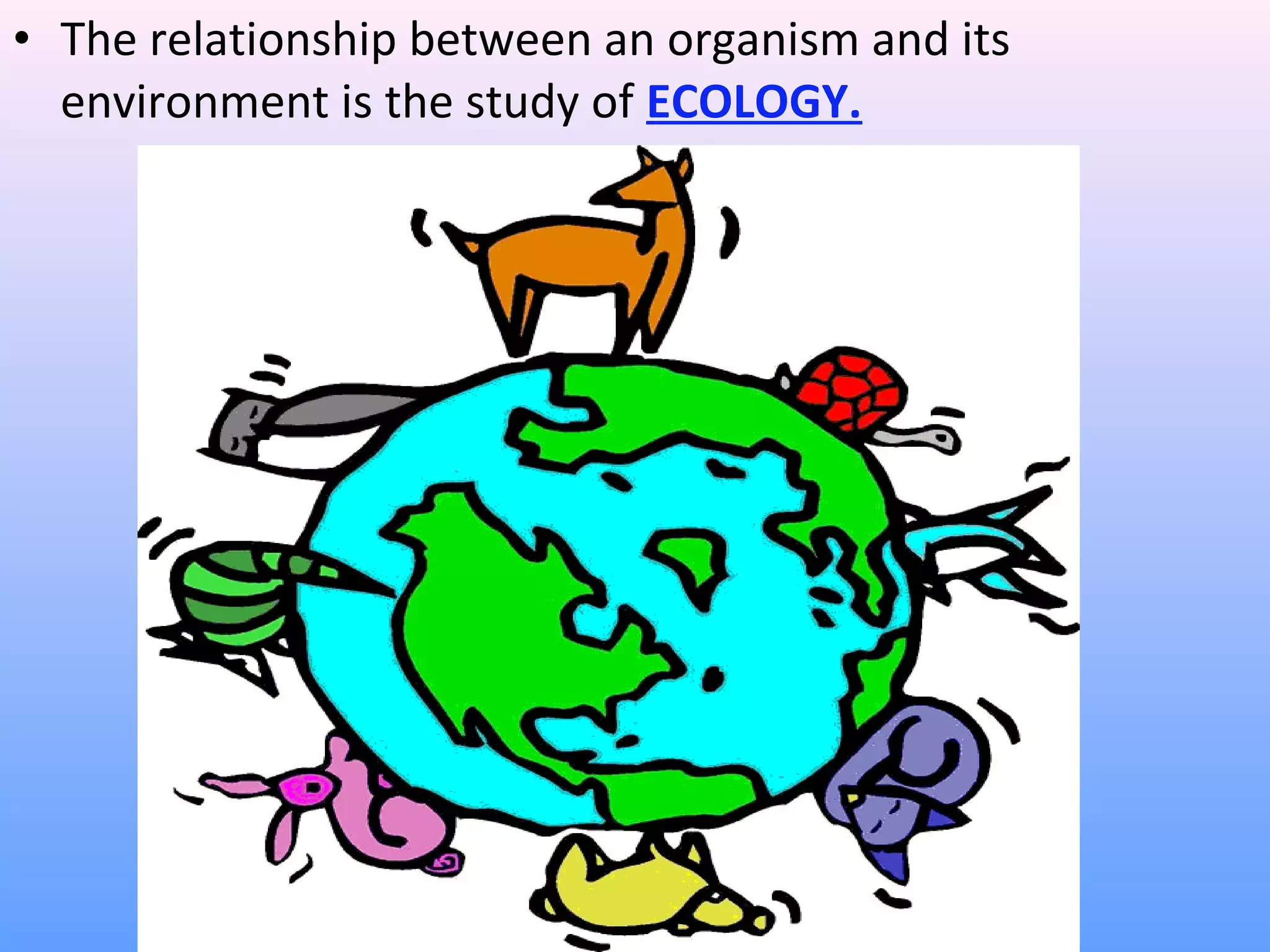 • The relationship between an organism and its 
environment is the study of ECOLOGY. 
 