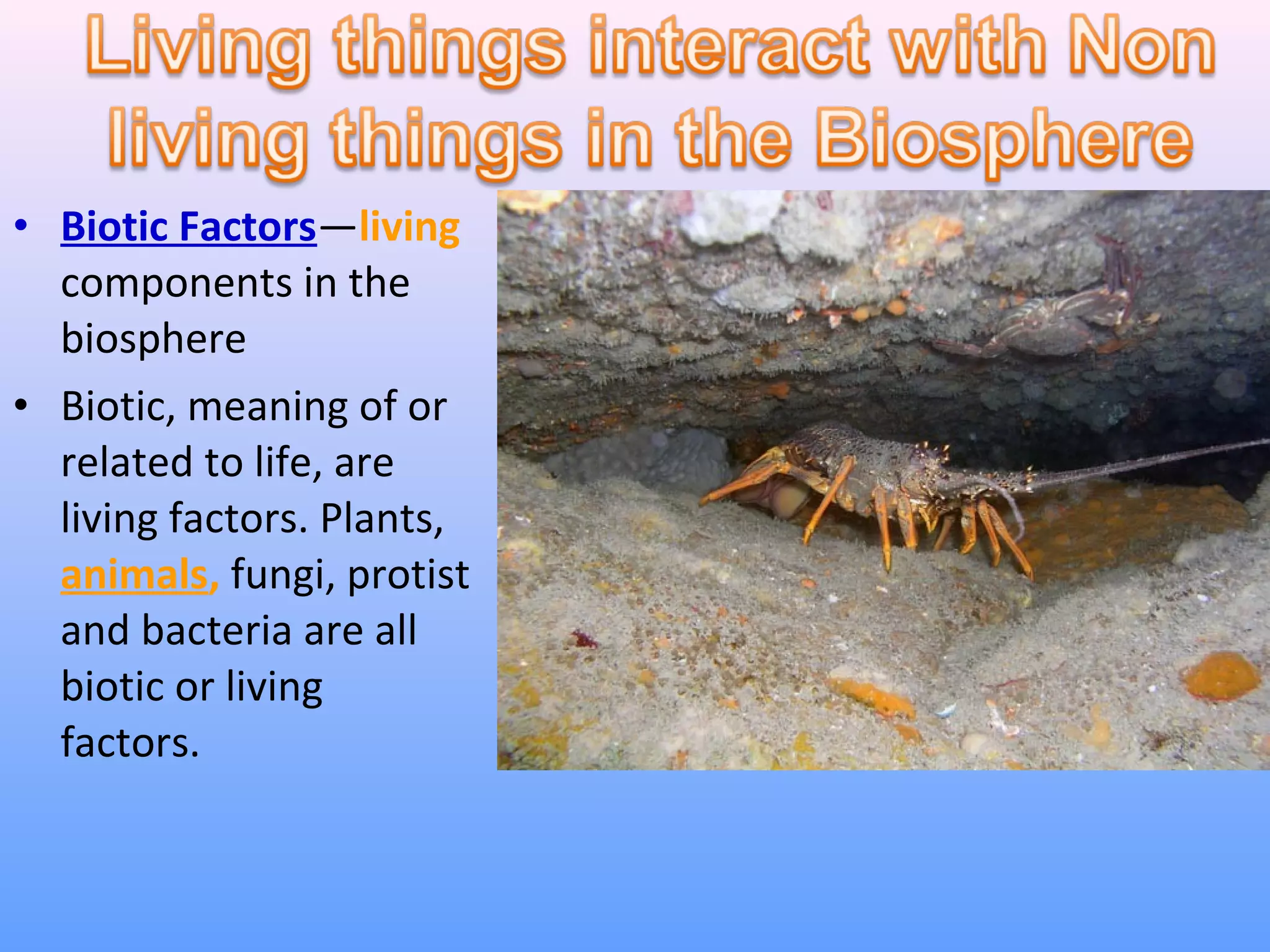 • Biotic Factors—living 
components in the 
biosphere 
• Biotic, meaning of or 
related to life, are 
living factors. Plants, 
animals, fungi, protist 
and bacteria are all 
biotic or living 
factors. 
 