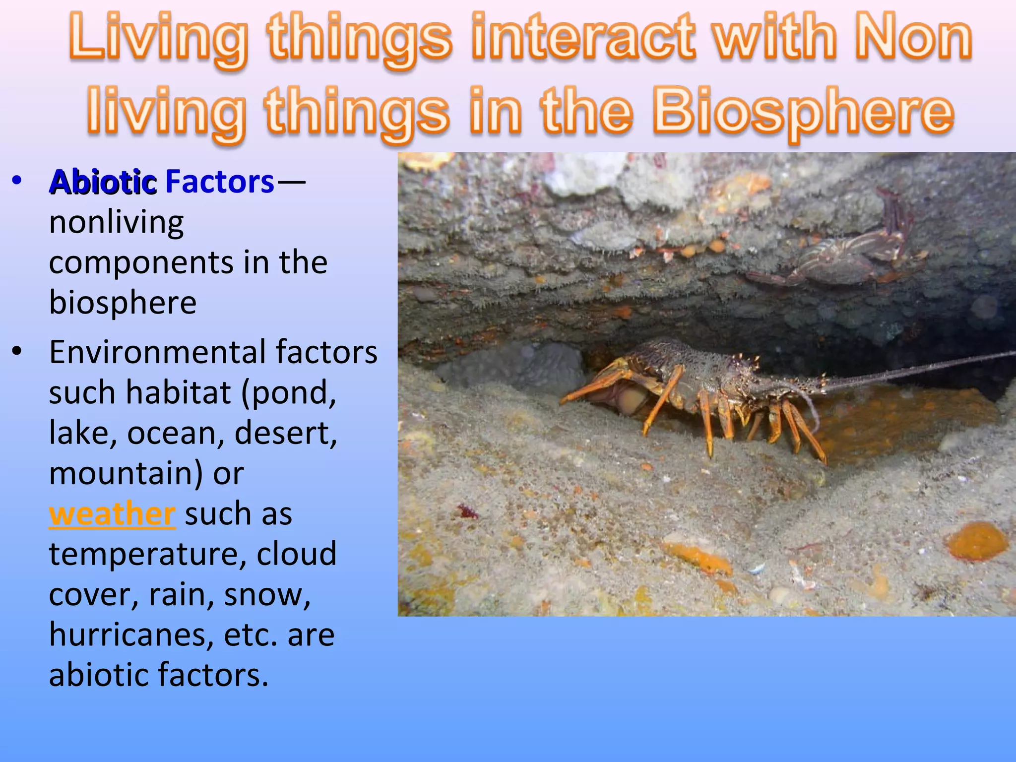 • AAbbiioottiicc Factors— 
nonliving 
components in the 
biosphere 
• Environmental factors 
such habitat (pond, 
lake, ocean, desert, 
mountain) or 
weather such as 
temperature, cloud 
cover, rain, snow, 
hurricanes, etc. are 
abiotic factors. 
 