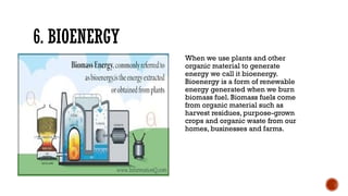 6. BIOENERGY
When we use plants and other
organic material to generate
energy we call it bioenergy.
Bioenergy is a form of renewable
energy generated when we burn
biomass fuel. Biomass fuels come
from organic material such as
harvest residues, purpose-grown
crops and organic waste from our
homes, businesses and farms.
 