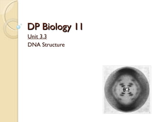 DP Biology 11 Unit 3.3 DNA Structure 