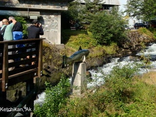 Ketchikan, Ak
    41
 
