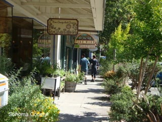 Sonoma County
  46
Juneau, Alaska
 