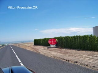 Milton-Freewater,OR
 