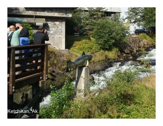 Ketchikan, Ak
    13
 