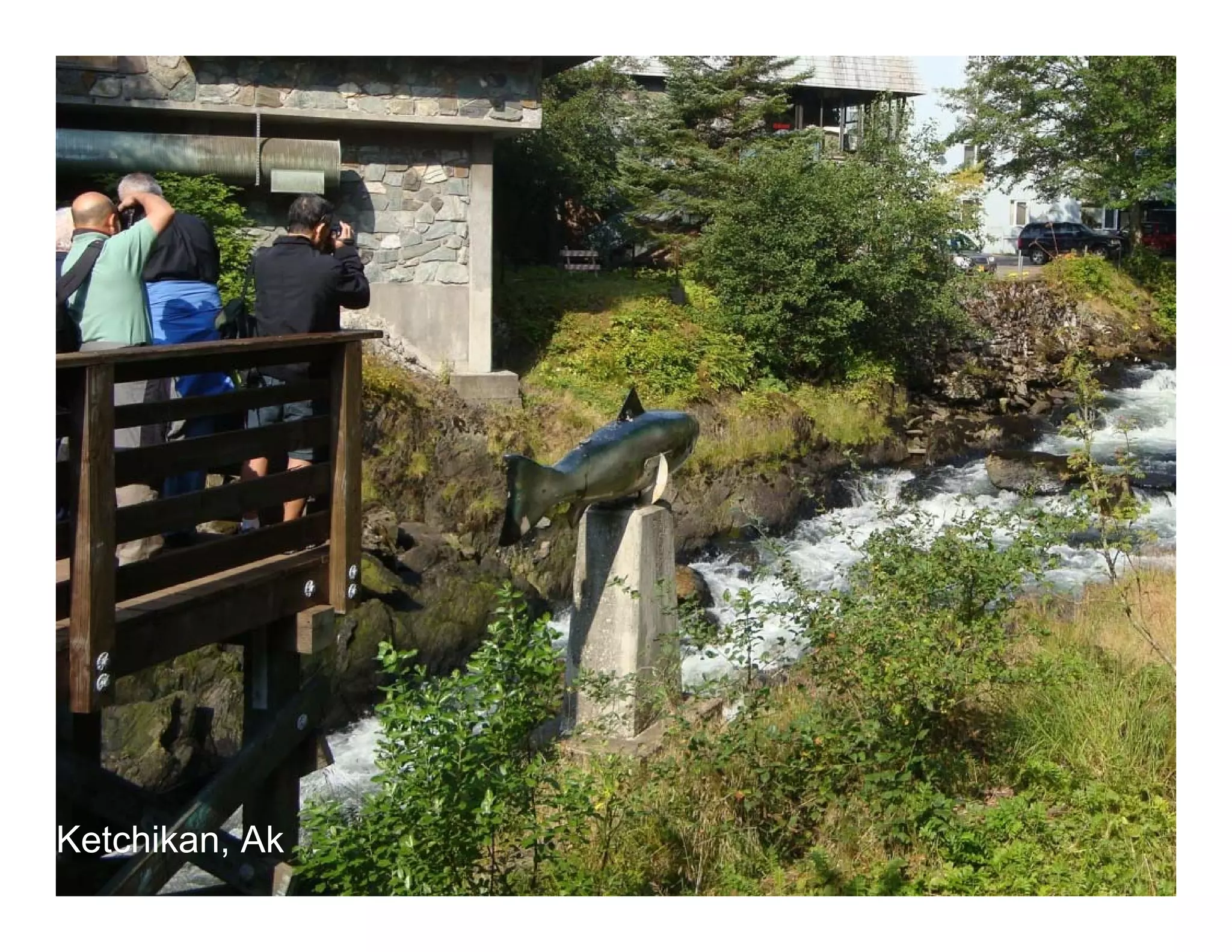 Ketchikan, Ak
    12
 