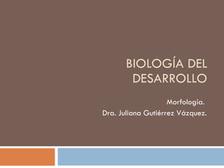 BIOLOGÍA DEL DESARROLLO Morfología.  Dra. Juliana Gutiérrez Vázquez. 