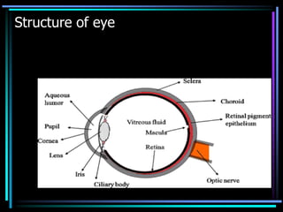Structure of eye
 