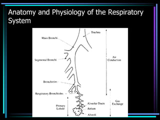 Anatomy and Physiology of the Respiratory
System
 