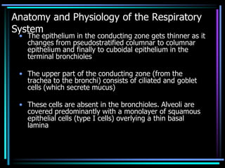 Anatomy and Physiology of the Respiratory
System
• The epithelium in the conducting zone gets thinner as it
changes from pseudostratified columnar to columnar
epithelium and finally to cuboidal epithelium in the
terminal bronchioles
• The upper part of the conducting zone (from the
trachea to the bronchi) consists of ciliated and goblet
cells (which secrete mucus)
• These cells are absent in the bronchioles. Alveoli are
covered predominantly with a monolayer of squamous
epithelial cells (type I cells) overlying a thin basal
lamina
 