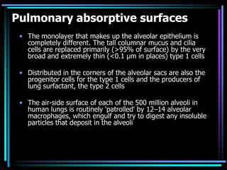 Pulmonary absorptive surfaces
• The monolayer that makes up the alveolar epithelium is
completely different. The tall columnar mucus and cilia
cells are replaced primarily (>95% of surface) by the very
broad and extremely thin (<0.1 µm in places) type 1 cells
• Distributed in the corners of the alveolar sacs are also the
progenitor cells for the type 1 cells and the producers of
lung surfactant, the type 2 cells
• The air-side surface of each of the 500 million alveoli in
human lungs is routinely 'patrolled' by 12–14 alveolar
macrophages, which engulf and try to digest any insoluble
particles that deposit in the alveoli
 
