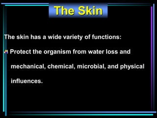 The Skin
The skin has a wide variety of functions:
Protect the organism from water loss and
mechanical, chemical, microbial, and physical
influences.
 