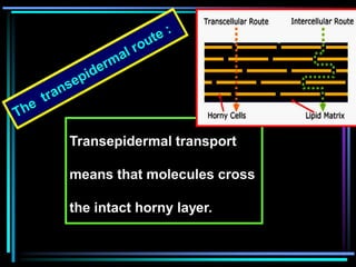 Transepidermal transport
means that molecules cross
the intact horny layer.
 
