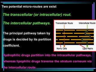 Two potential micro-routes are exist
The transcellular (or intracellular) rout.
The intercellular pathways.
The principal pathway taken by
drugs is decided by its partition
coefficient.
Hydrophilic drugs partition into the intracellular pathways,
whereas lipophilic drugs traverse the stratum corneum via
the intercellular route.
 