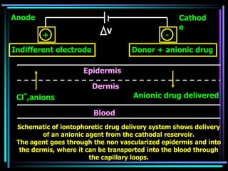 Schematic of iontophoretic drug delivery system shows delivery
of an anionic agent from the cathodal reservoir.
The agent goes through the non vascularized epidermis and into
the dermis, where it can be transported into the blood through
the capillary loops.
Cathod
e
Blood
Dermis
Cl-,anions Anionic drug delivered
Indifferent electrode Donor + anionic drug
+ -
Epidermis
Anode
V
 