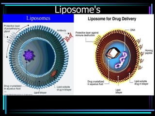 Liposome's
 