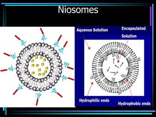 Niosomes
 