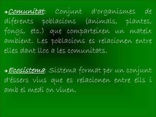 Comunitat:      Conjunt d'organismes de
diferents poblacions (animals, plantes,
fongs, etc.) que comparteixen un mateix
ambient. Les poblacions es relacionen entre
elles dant lloc a les comunitats.

Ecosistema: Sistema format per un conjunt
d'éssers vius que es relacionen entre ells i
amb el medi on viuen.
 