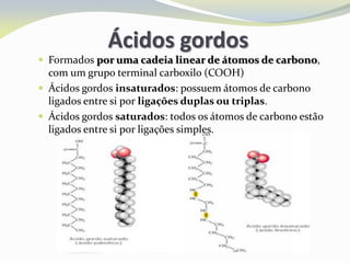 Ácidos gordos
 Formados por uma cadeia linear de átomos de carbono,
com um grupo terminal carboxilo (COOH)
 Ácidos gordos insaturados: possuem átomos de carbono
ligados entre si por ligações duplas ou triplas.
 Ácidos gordos saturados: todos os átomos de carbono estão
ligados entre si por ligações simples.
 