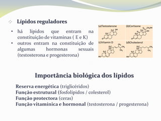  Lípidos reguladores
• há lípidos que entram na
constituição de vitaminas ( E e K)
• outros entram na constituição de
algumas hormonas sexuais
(testosterona e progesterona)
Importância biológica dos lípidos
 Reserva energética (triglicéridos)
 Função estrutural (fosfolípidos / colesterol)
 Função protectora (ceras)
 Função vitamínica e hormonal (testosterona / progesterona)
 