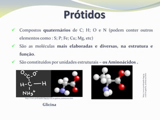 Prótidos
 Compostos quaternários de C; H; O e N (podem conter outros
elementos como : S; P; Fe; Cu; Mg, etc)
 São as moléculas mais elaboradas e diversas, na estrutura e
função.
 São constituídos por unidades estruturais – os Aminoácidos .
http://www.profcupido.hpg.ig.
com.br/galeria_animacoes.htm
http://www.profcupido.hpg.ig.com.br/galeria_animacoes.htm
Glicina
 