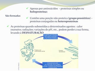 São formadas
 Apenas por aminoácidos - proteínas simples ou
holoproteínas
 Contêm uma porção não proteica (grupo prostético) -
proteínas conjugadas ou heteroproteínas
 As proteínas quando submetidas a determinados agentes: calor
excessivo; radiações; variações de pH, etc., podem perder a sua forma,
levando à DESNATURAÇÃO
InPortoEditora
 