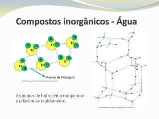 http://www.puc.cl/quimica/agua/estructura.htm
http://www.puc.cl/quimica/agua/estructura.htm
As pontes de hidrogénio rompem-se
e refazem-se rapidamente.
Compostos inorgânicos - Água
 