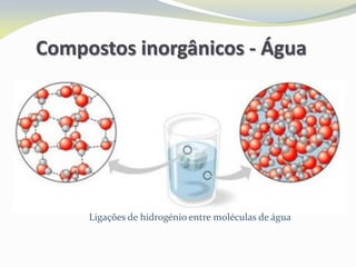 Ligações de hidrogénio entre moléculas de água
Compostos inorgânicos - Água
 